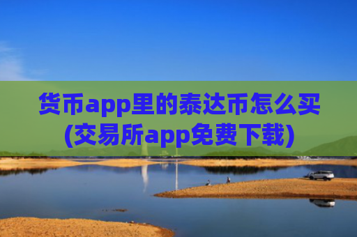 货币app里的泰达币怎么买(交易所app免费下载)