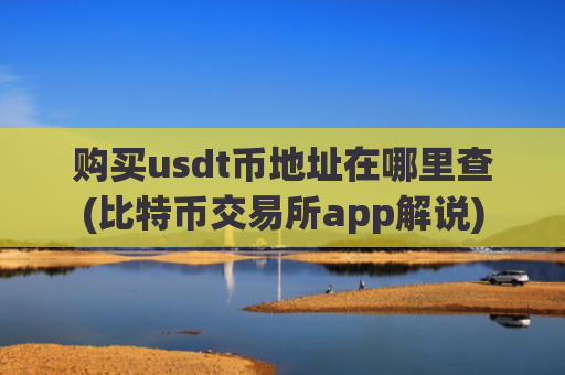 购买usdt币地址在哪里查(比特币交易所app解说)