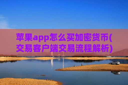 苹果app怎么买加密货币(交易客户端交易流程解析)