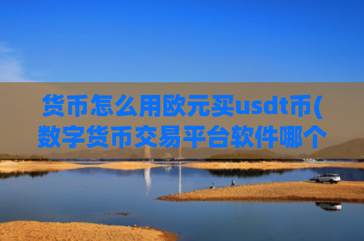 货币怎么用欧元买usdt币(数字货币交易平台软件哪个好)