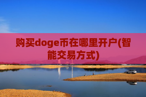 购买doge币在哪里开户(智能交易方式)