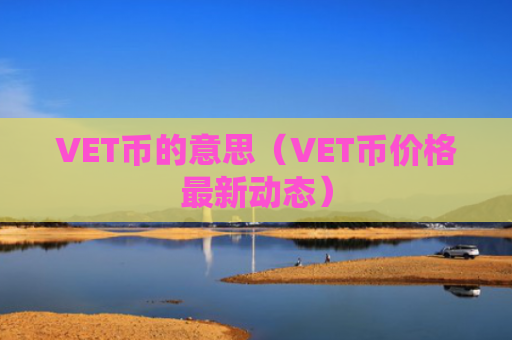 VET币的意思（VET币价格最新动态）