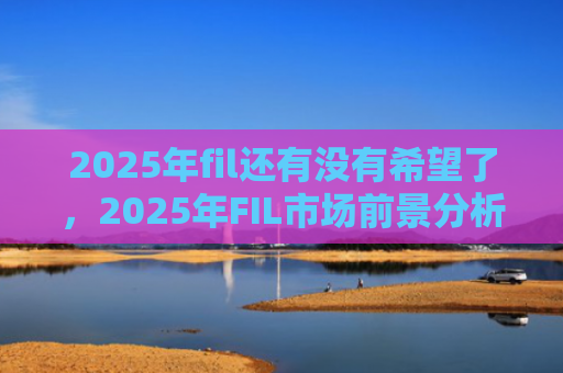 2025年fil还有没有希望了，2025年FIL市场前景分析