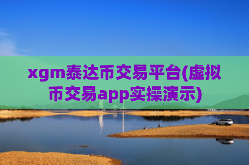 xgm泰达币交易平台(虚拟币交易app实操演示)