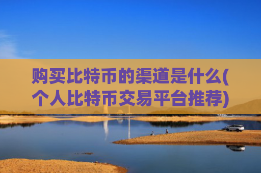 购买比特币的渠道是什么(个人比特币交易平台推荐)