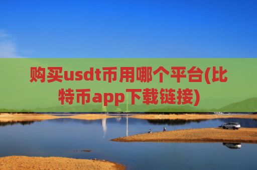 购买usdt币用哪个平台(比特币app下载链接)