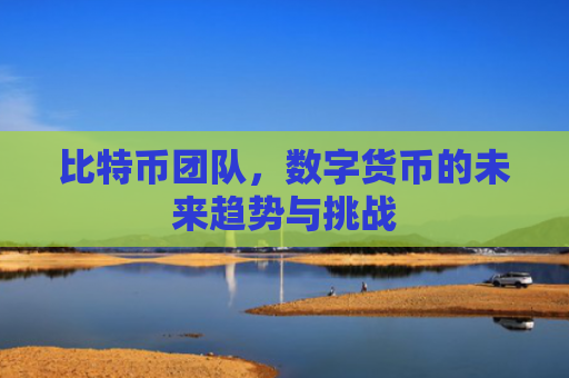 比特币团队，数字货币的未来趋势与挑战