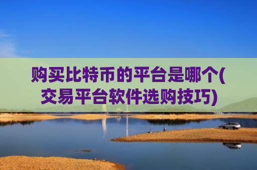 购买比特币的平台是哪个(交易平台软件选购技巧)