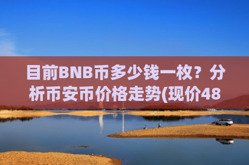 目前BNB币多少钱一枚？分析币安币价格走势(现价4893.41元)
