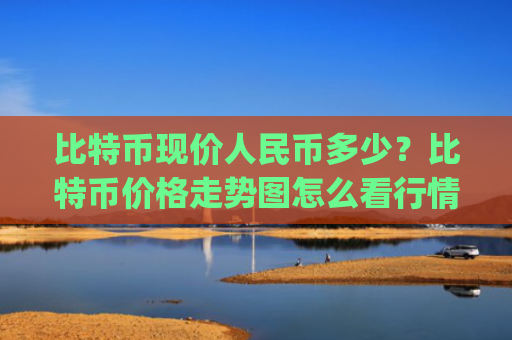 比特币现价人民币多少？比特币价格走势图怎么看行情(现价704375.89元)