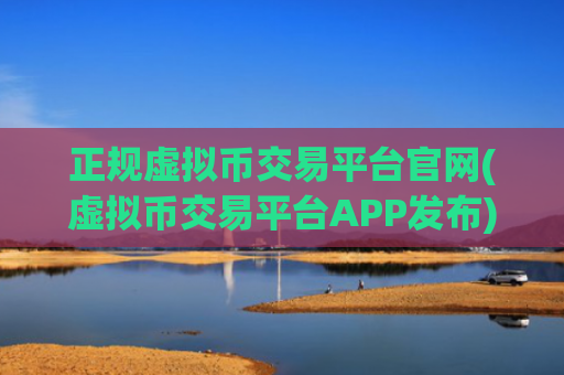 正规虚拟币交易平台官网(虚拟币交易平台APP发布)