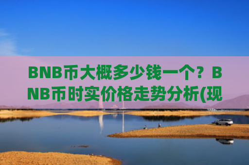 BNB币大概多少钱一个？BNB币时实价格走势分析(现价4916.73元)