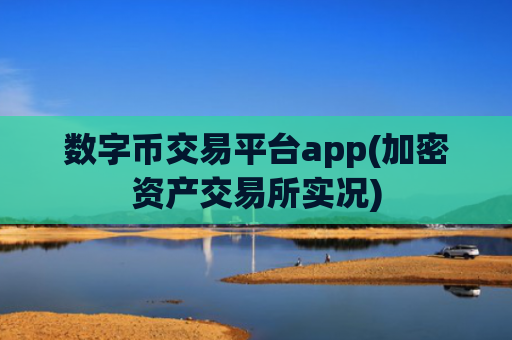 数字币交易平台app(加密资产交易所实况)
