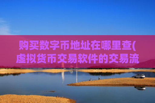 购买数字币地址在哪里查(虚拟货币交易软件的交易流程)