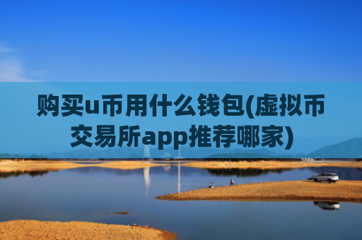 购买u币用什么钱包(虚拟币交易所app推荐哪家)