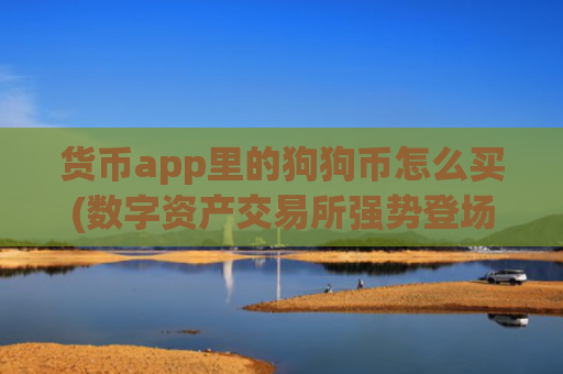 货币app里的狗狗币怎么买(数字资产交易所强势登场)