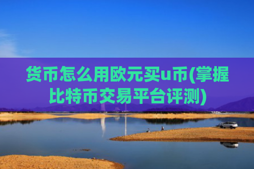 货币怎么用欧元买u币(掌握比特币交易平台评测)