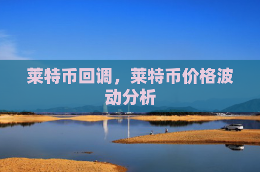 莱特币回调，莱特币价格波动分析