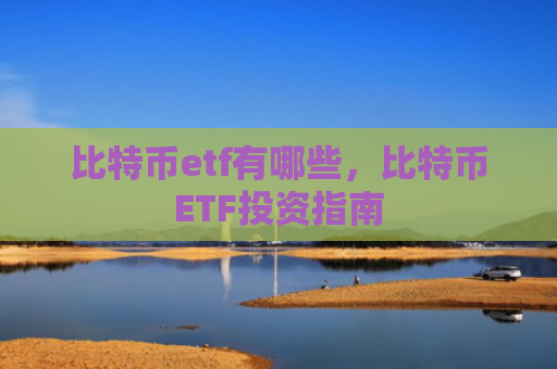 比特币etf有哪些，比特币ETF投资指南