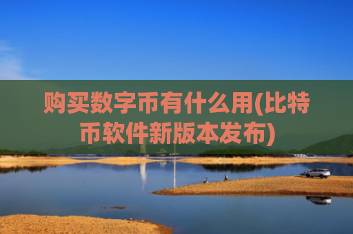 购买数字币有什么用(比特币软件新版本发布)