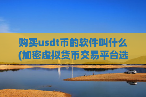 购买usdt币的软件叫什么(加密虚拟货币交易平台选择指南)