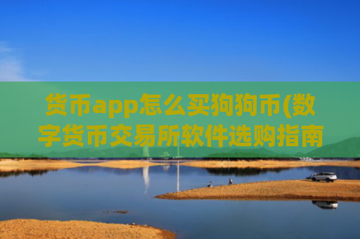 货币app怎么买狗狗币(数字货币交易所软件选购指南)