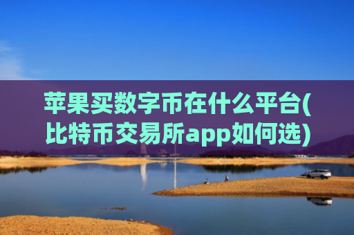 苹果买数字币在什么平台(比特币交易所app如何选)