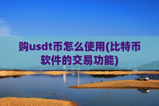 购usdt币怎么使用(比特币软件的交易功能)