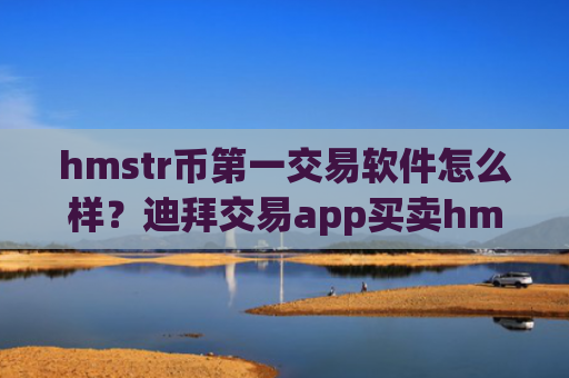 hmstr币第一交易软件怎么样?迪拜交易app买卖hmstr币