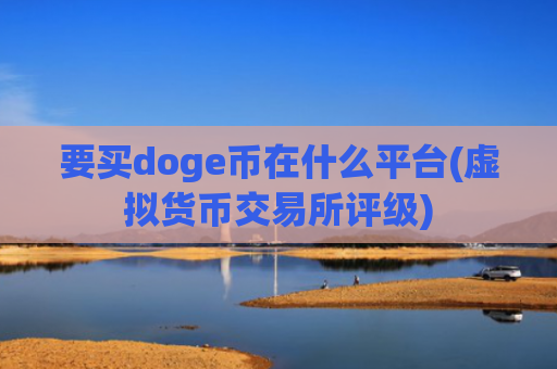 要买doge币在什么平台(虚拟货币交易所评级)