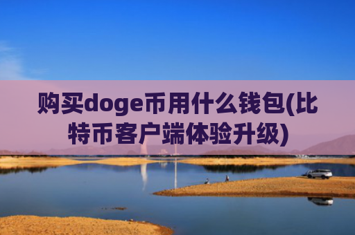 购买doge币用什么钱包(比特币客户端体验升级)