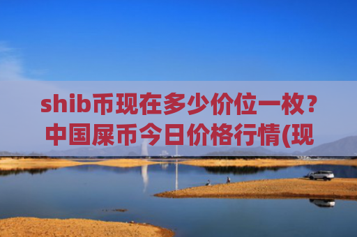 shib币现在多少价位一枚?中国屎币今日价格行情(现价0.00019497元)
