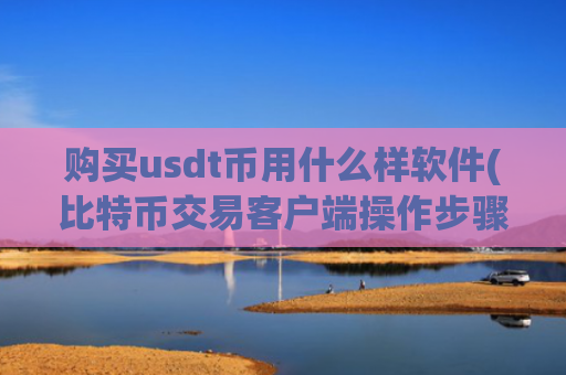购买usdt币用什么样软件(比特币交易客户端操作步骤)