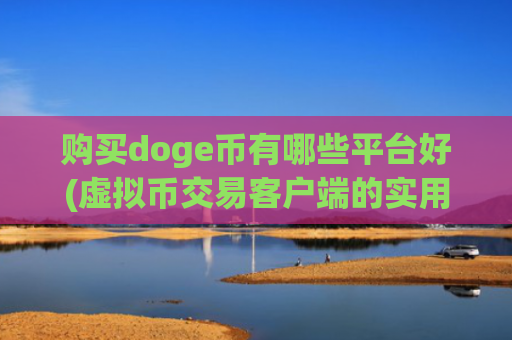 购买doge币有哪些平台好(虚拟币交易客户端的实用技巧)