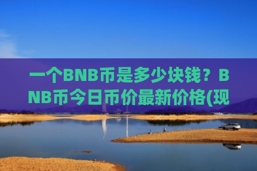 一个BNB币是多少块钱？BNB币今日币价最新价格(现价4917.32元)