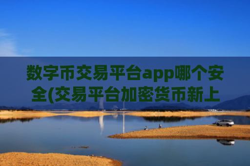 数字币交易平台app哪个安全(交易平台加密货币新上币)