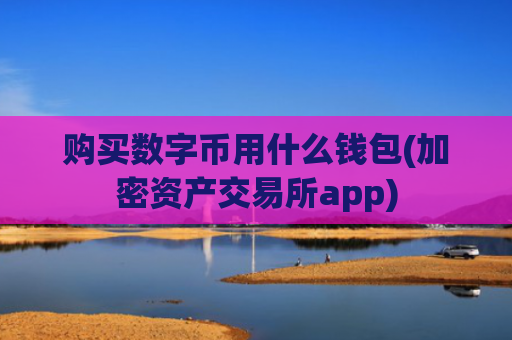 购买数字币用什么钱包(加密资产交易所app)