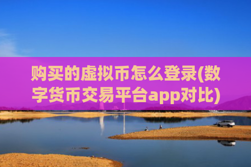 购买的虚拟币怎么登录(数字货币交易平台app对比)