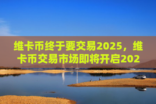 维卡币终于要交易2025，维卡币交易市场即将开启2025