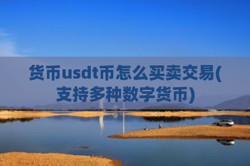 货币usdt币怎么买卖交易(支持多种数字货币)