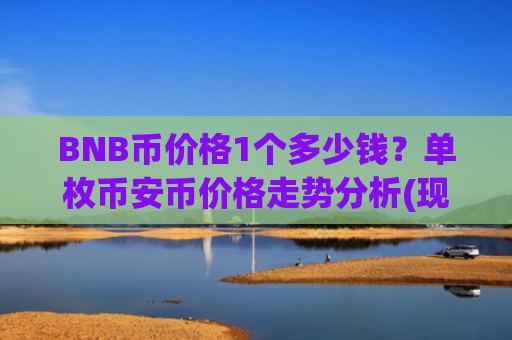 BNB币价格1个多少钱？单枚币安币价格走势分析(现价4927.15元)