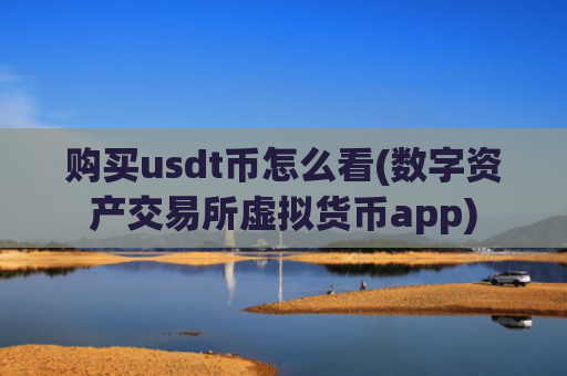 购买usdt币怎么看(数字资产交易所虚拟货币app)