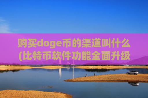 购买doge币的渠道叫什么(比特币软件功能全面升级)