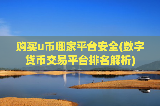 购买u币哪家平台安全(数字货币交易平台排名解析)