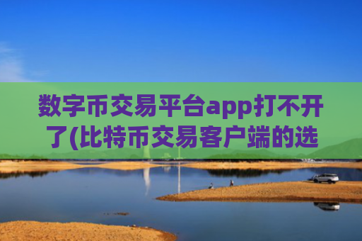 数字币交易平台app打不开了(比特币交易客户端的选择技巧)