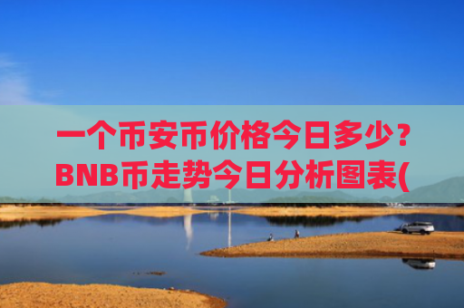 一个币安币价格今日多少？BNB币走势今日分析图表(现价4924.39元)