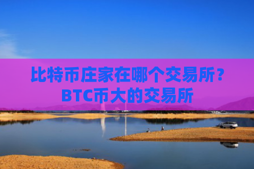 比特币庄家在哪个交易所？BTC币大的交易所