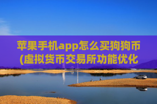 苹果手机app怎么买狗狗币(虚拟货币交易所功能优化)