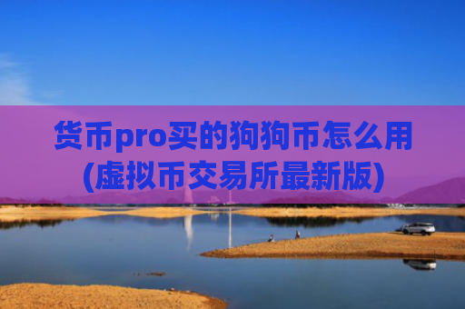 货币pro买的狗狗币怎么用(虚拟币交易所最新版)