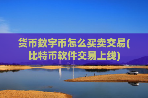 货币数字币怎么买卖交易(比特币软件交易上线)